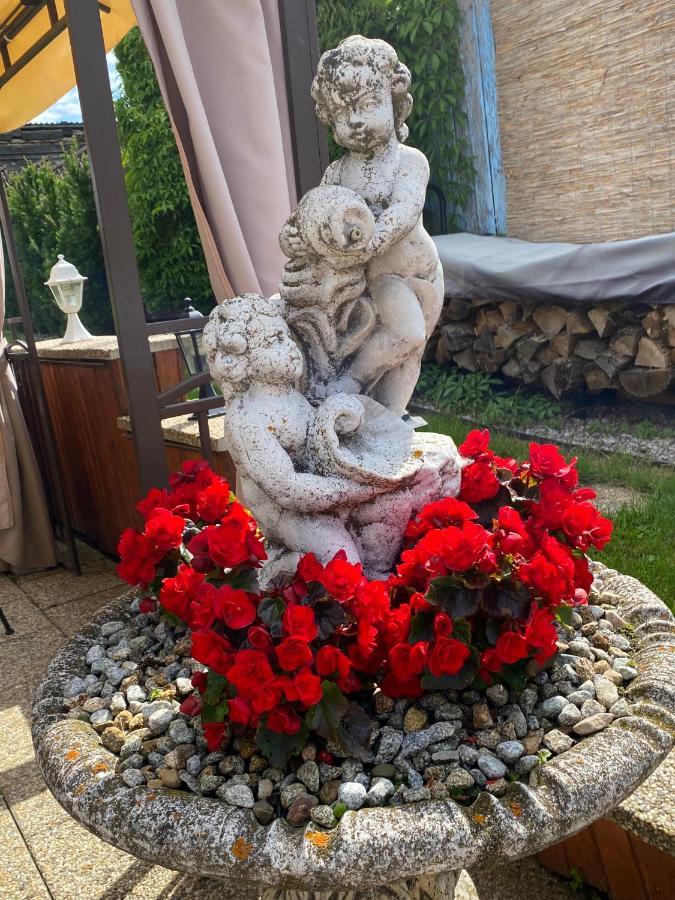 Penzion Vila Petra Bed&Breakfast Вельки-Славков Экстерьер фото