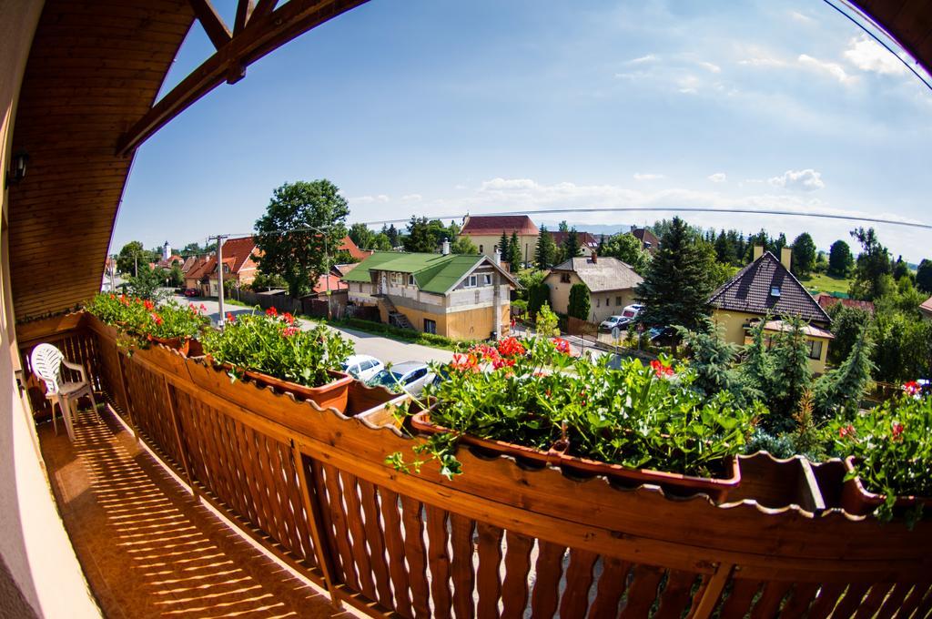Penzion Vila Petra Bed&Breakfast Вельки-Славков Экстерьер фото